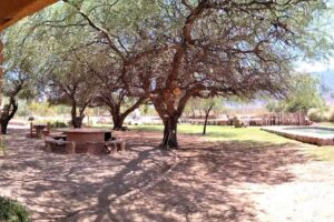 Cabalgatas Sendero calchaqui