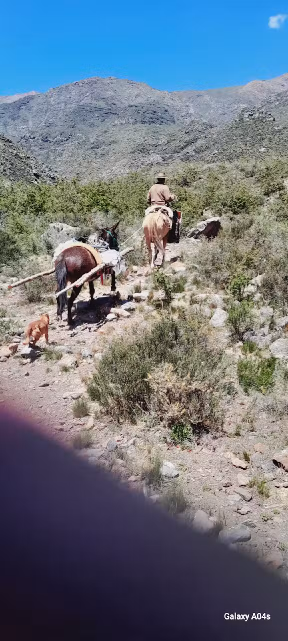 CABALGATAS SIETE LUNA 2022