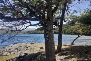 cabaña de información municipal (parque Shoonem)