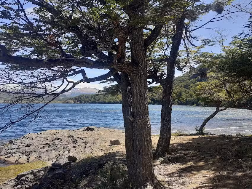 cabaña de información municipal (parque Shoonem)