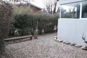 Cabaña Los Benteveos