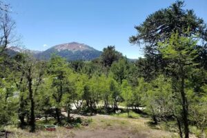 Cabaña Rincón De Meli