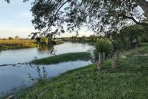 Cabañas Aguaflorida