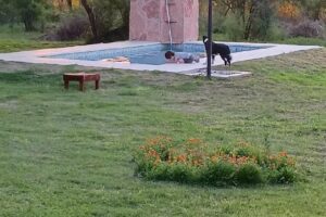 Cabañas Al Pie de la Sierra