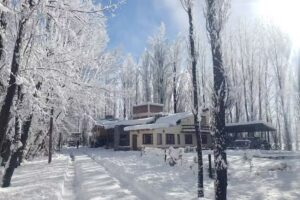 CABAÑAS BOSQUE DE SOL