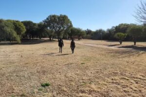 Cabañas Del Rincón