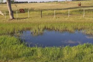 Cabañas Don Alfredo