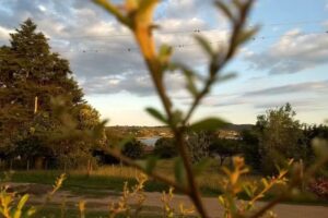 Cabañas El Cobertizo
