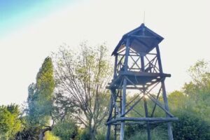 Cabañas «El Descanso»