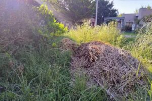 Cabañas Entremedanos