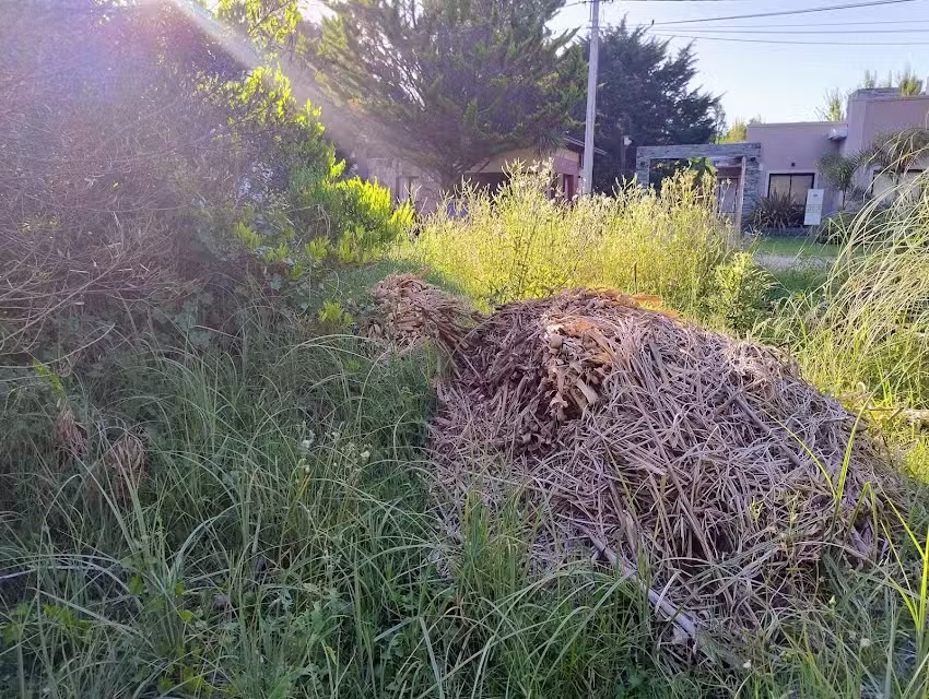 Cabañas Entremedanos