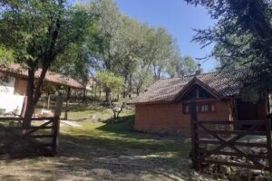 Cabañas Franca Austral