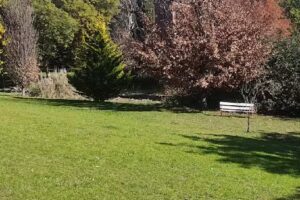 Cabañas Las Golondrinas