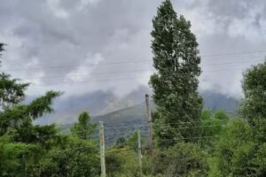 Cabañas – Las Margaritas