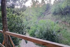 Cabañas Las Zarinas