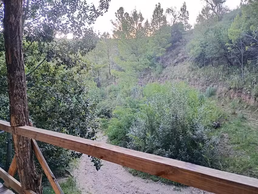 Cabañas Las Zarinas