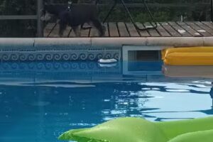 Cabañas Lomas Del Dique