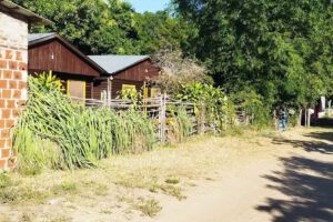 CABAÑAS ¨MIS CABAÑITAS¨