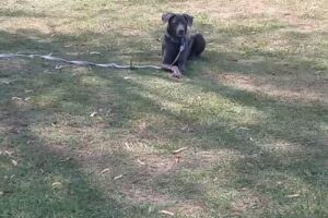 Cabañas Monte Alegre