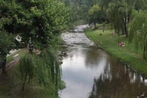Cabañas Ojo de Agua