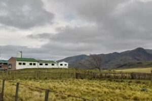 Cabañas Piedras Altas