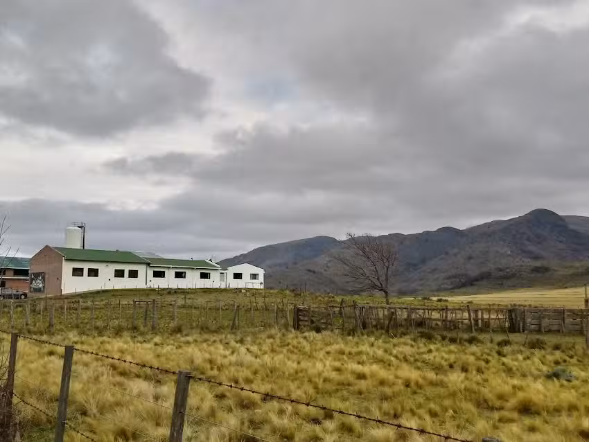 Cabañas Piedras Altas