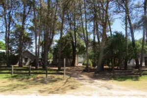 Cabañas Pinos de Rey Dunamar