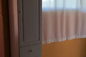 Cabañas Stella Maris