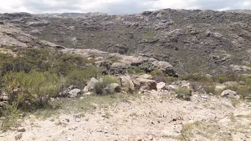 Camino de los Artesanos