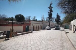 Cani Viajes Y Turismo S.r.l.