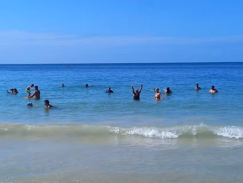 Carlos Sansot Viajes