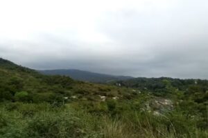 Casa de campo alquiler