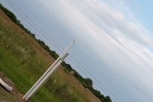 Casa en alquiler Arocena – Comi Pini (vacacional)