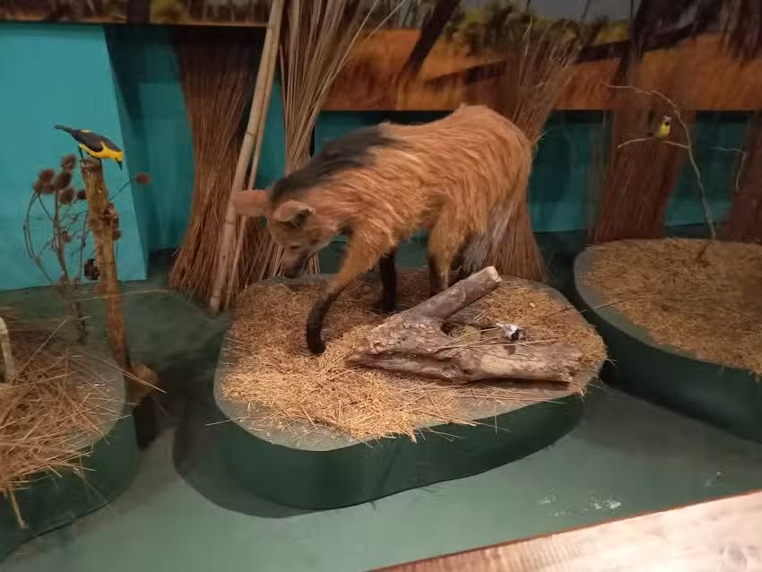 Casa Iberá – Centro de Informes e Interpretación