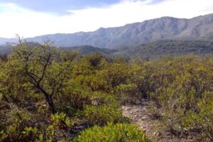 Casa turismo las rabonas