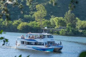 Catamaranes clase de yoga