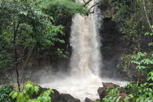 CATARATAS DEL IGUAZU VIAJES