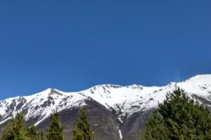 Centro Informes PN Los Alerces