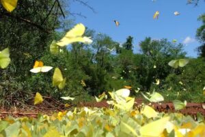 Centros de informes turisticos