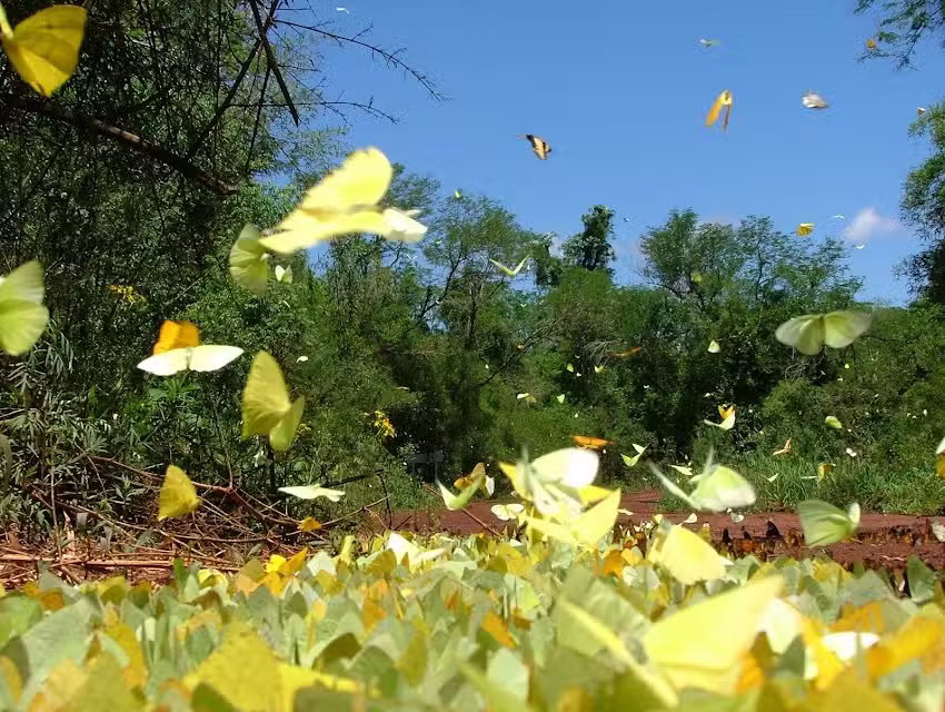 Centros de informes turisticos