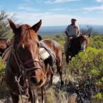 CHACRA EL REENCUENTRO