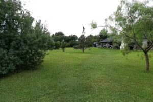 Chacra Tilo Gualeguay