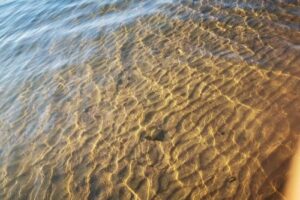 Club de Pesca Paso de la Patria