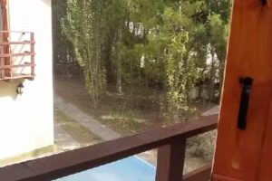 Complejo Alameda Pehuen co