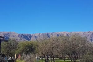 Complejo Cabañas De Merlo