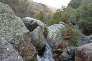 Complejo de Cabañas «La Tregua»