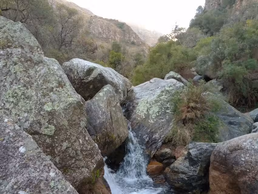 Complejo de Cabañas «La Tregua»
