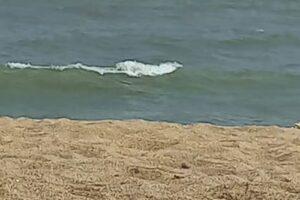 Complejo Frontera Sur