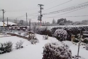 Complejo Los Paraisos