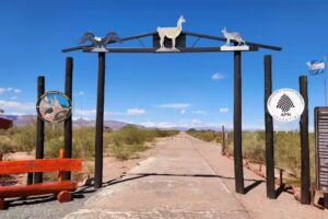 Concesionario Volterra Talampaya